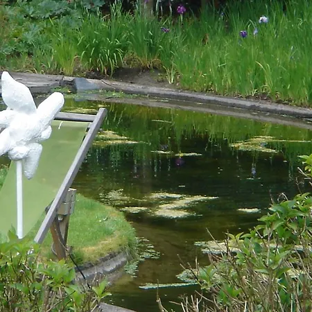 Bed & Breakfast De Witte Gand